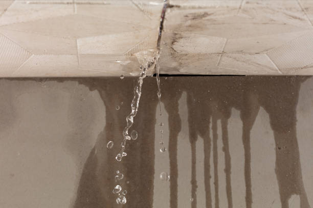 Professional Water Damage Repair technician working in Rockdale, TX